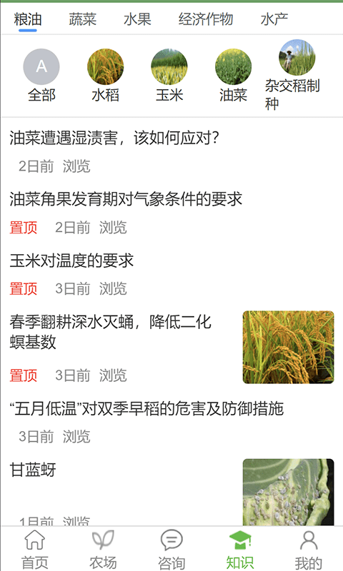 天帮忙3