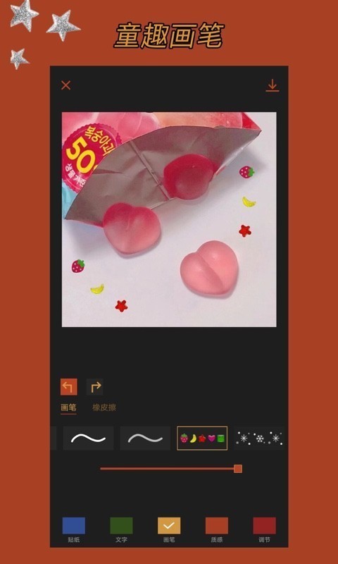 Coco Cam3