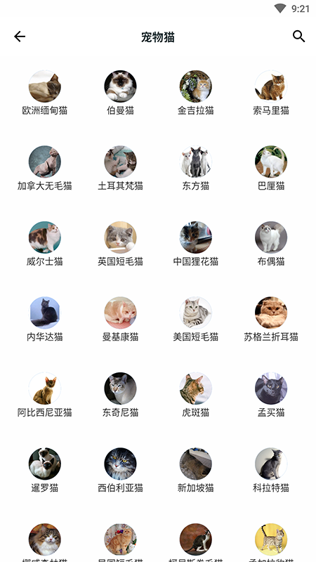 动植物百科全书(Animals Plants Treasury)3