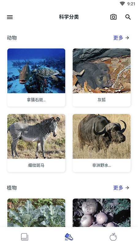 动植物百科全书(Animals Plants Treasury)4