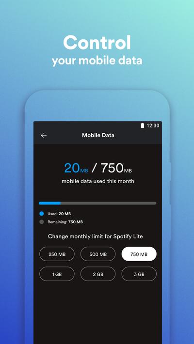 Spotify Lite公司2