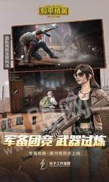 和平精英归宿辅助1
