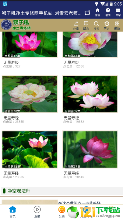 狮子吼净土网1
