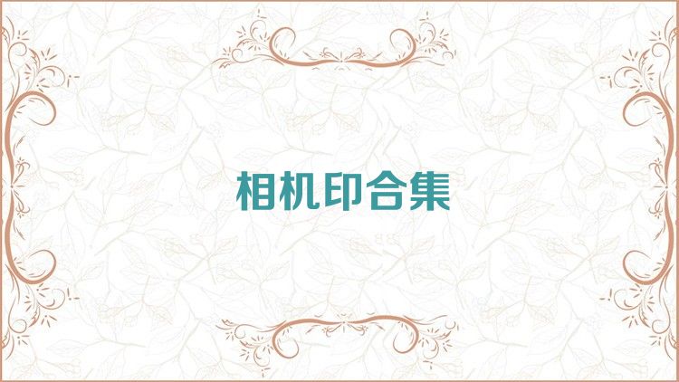 相机印合集