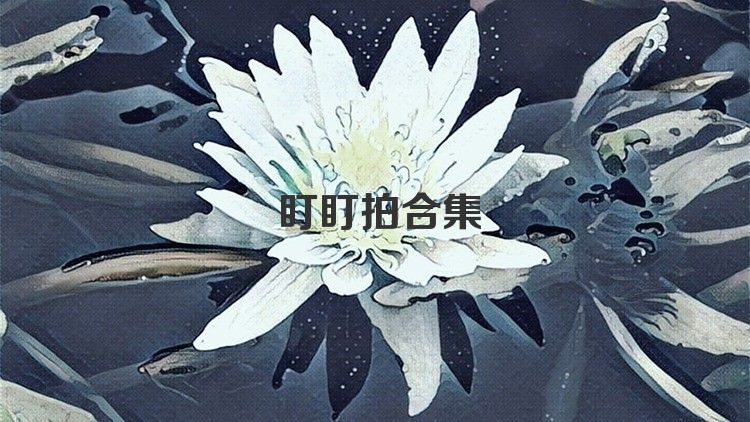 盯盯拍合集