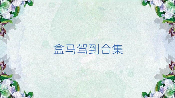 盒马驾到合集