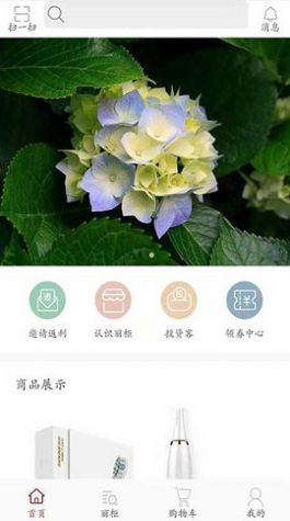 丽柜1