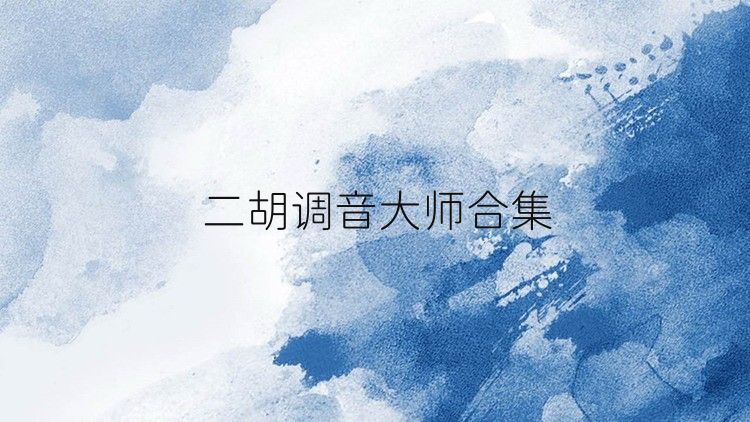 二胡调音大师合集