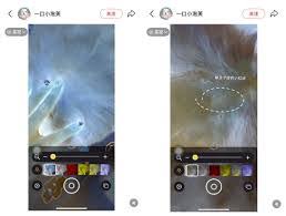 iphone检查虫子功能如何使用