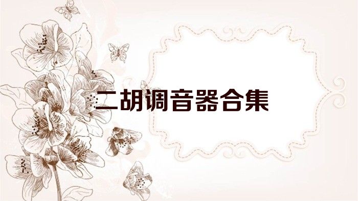 二胡调音器合集