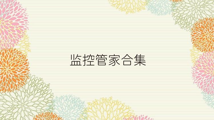 监控管家合集