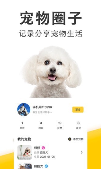 有只宠物3