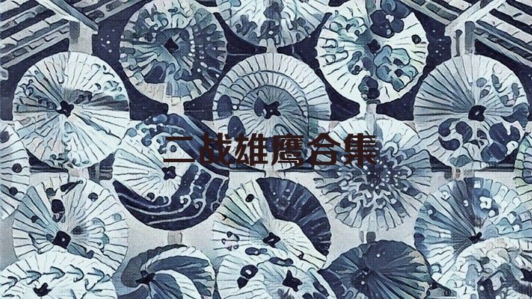 二战雄鹰合集