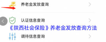 陕西社会保险app如何查养老发放进度