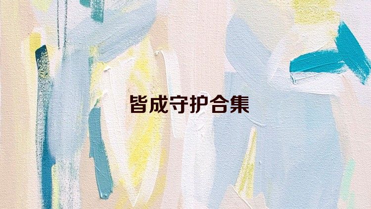 皆成守护合集