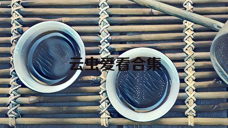 云虫爱看合集