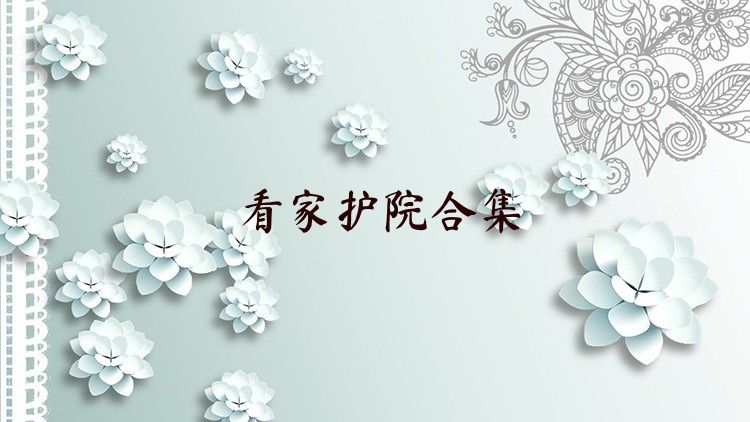看家护院合集