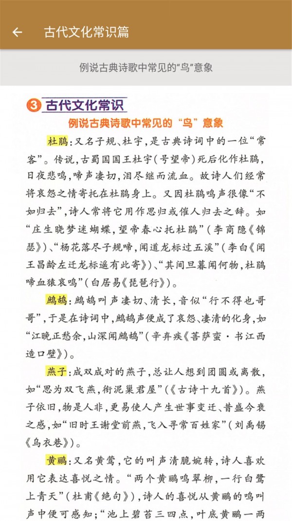 九年级语文帮3