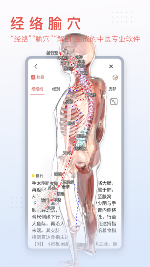 3Dbody解剖1