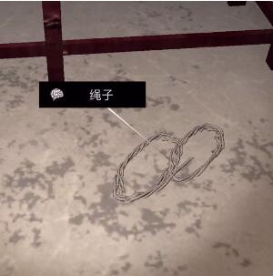 《孙美琪疑案-王爱国》绳子1/2线索获得