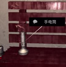 《孙美琪疑案-王爱国》手电筒线索获得