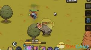 英勇之地狂猪族长刷新时间是多久