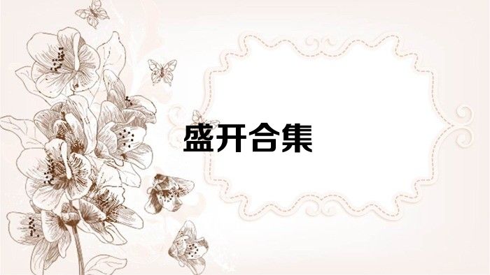 盛开合集