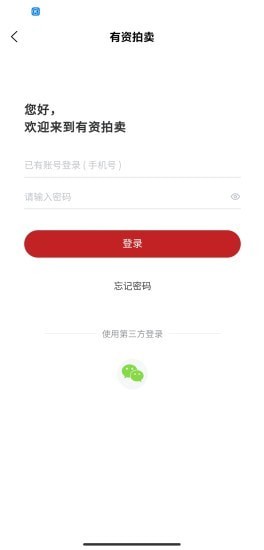 有资拍卖4