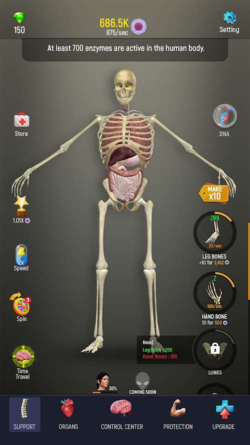 人体模型模拟器1