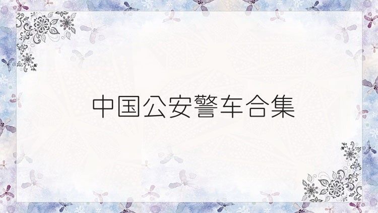 中国公安警车合集