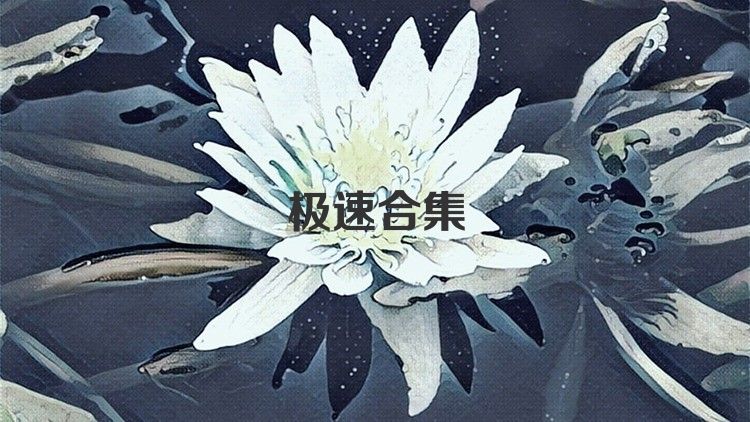 极速合集