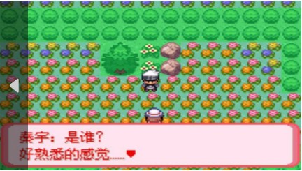 口袋妖怪 暗古神坛6.0 Another Result（悟饭）4