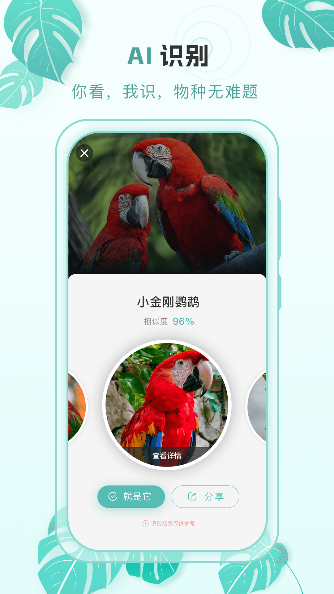 百科物语1