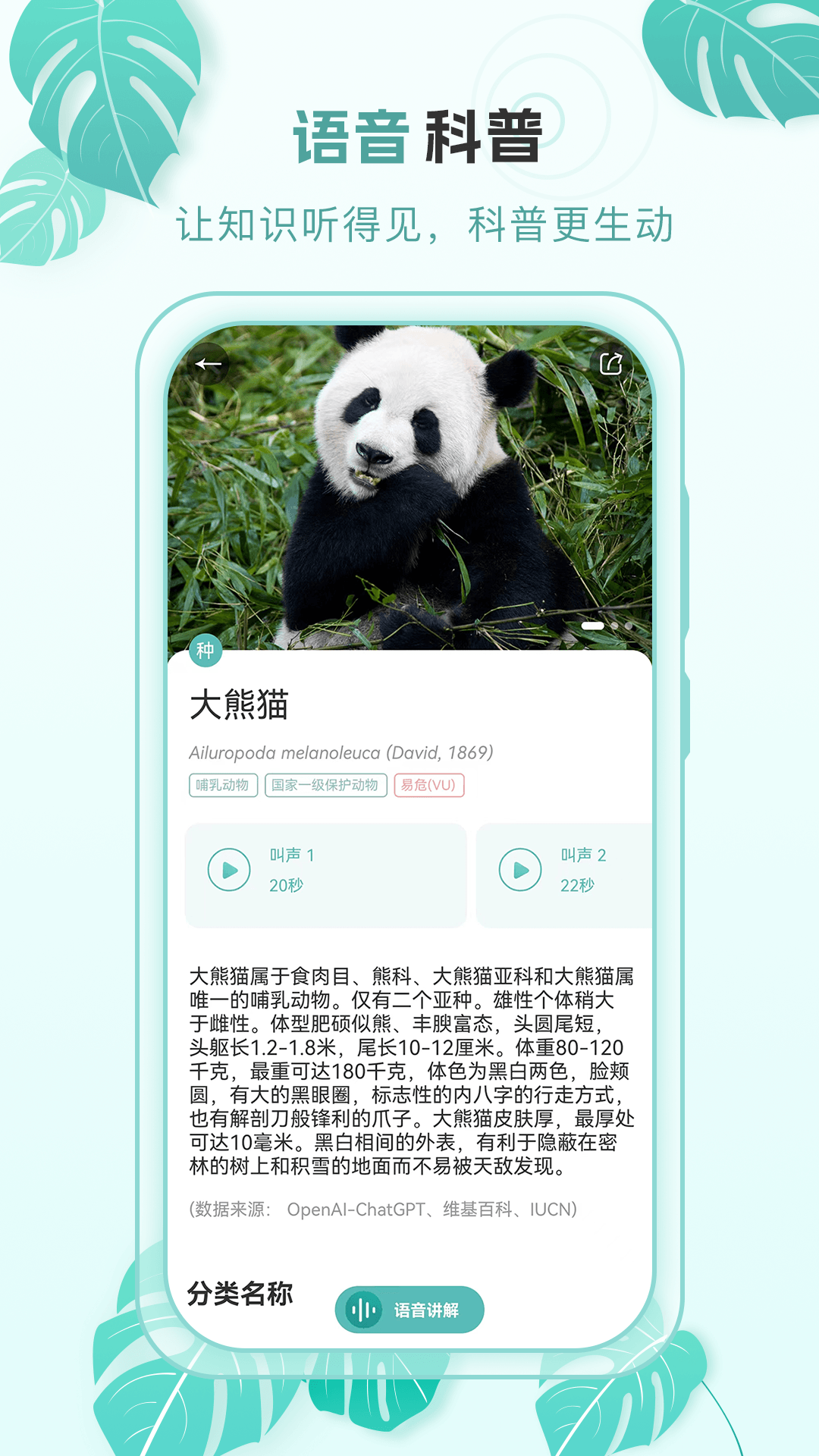 百科物语2