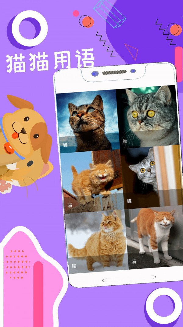 人狗猫猪翻译器4
