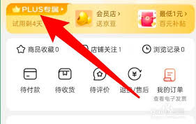 京东Plus会员自动续费怎么取消？详细步骤指南
