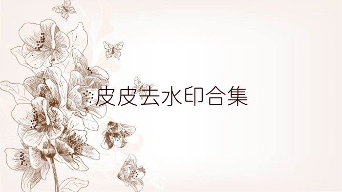 皮皮去水印合集