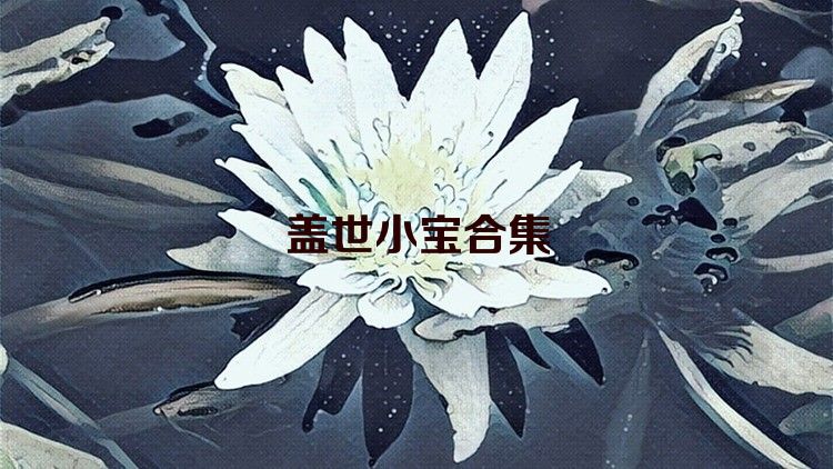盖世小宝合集