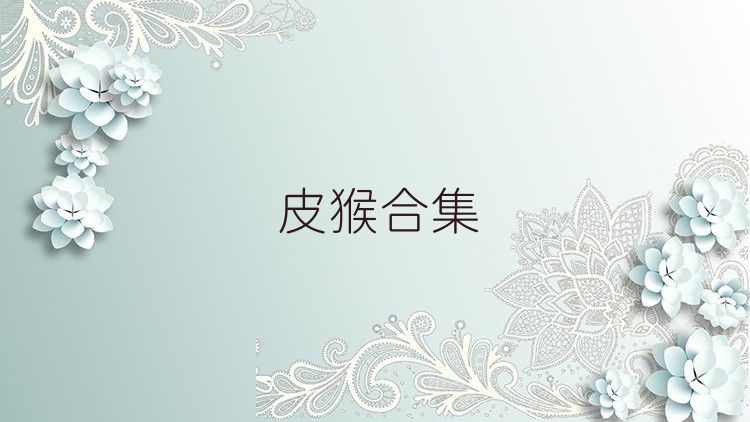皮猴合集