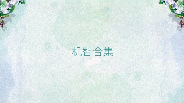 机智合集