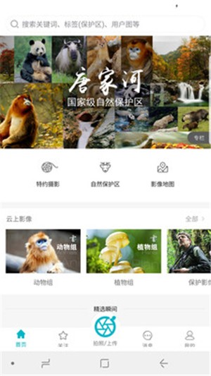 云上中国2