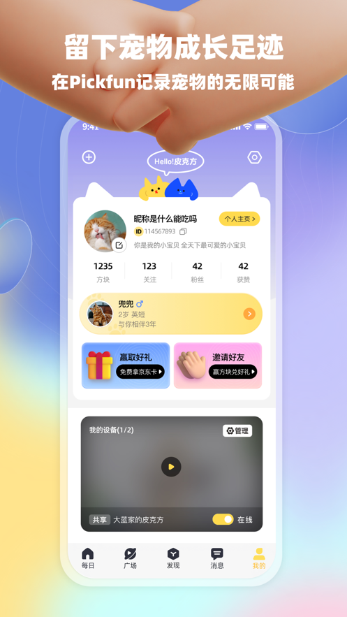 皮克方4