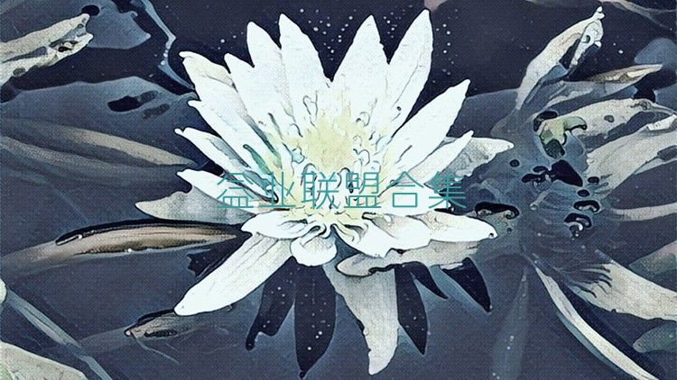 益业联盟合集