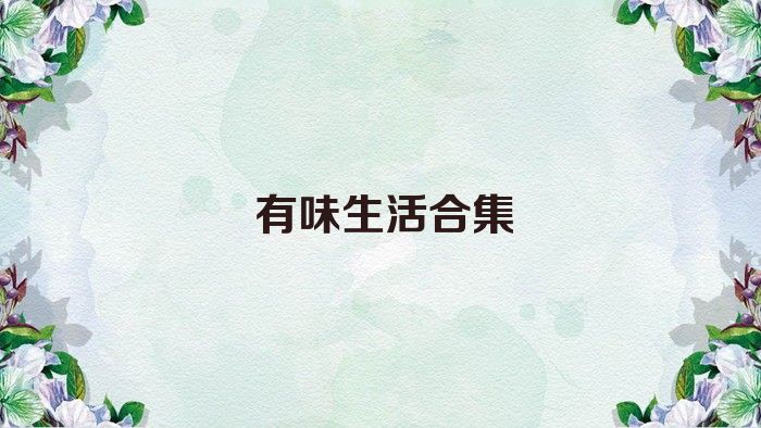 有味生活合集