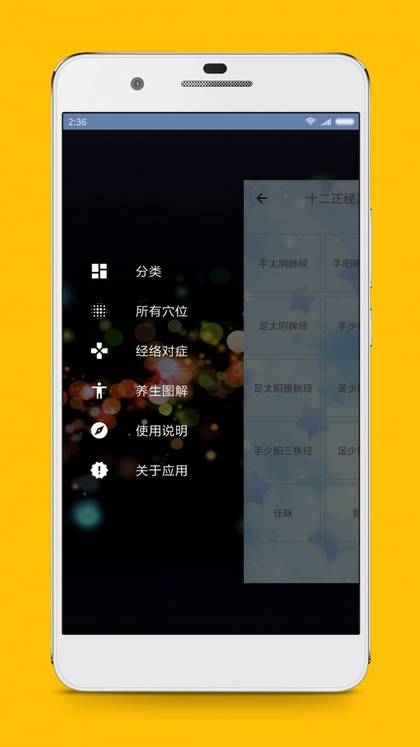 人体穴位图解软件1