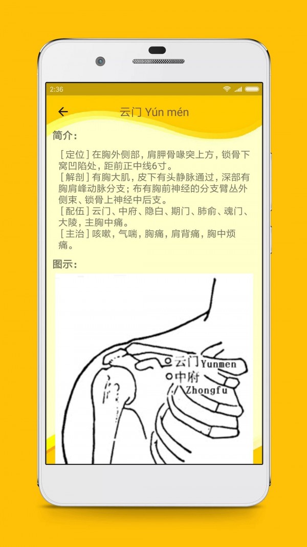 人体穴位图解软件2