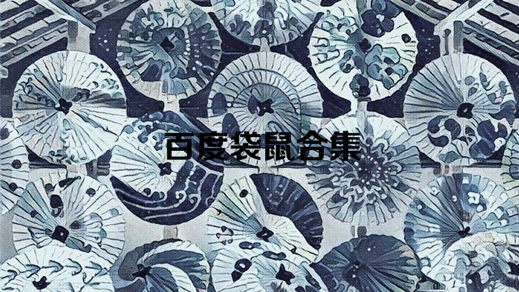 百度袋鼠合集