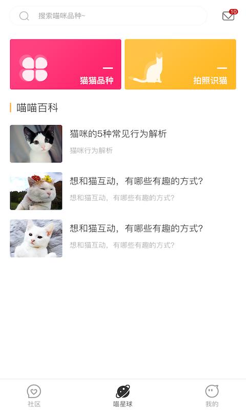 云养猫1