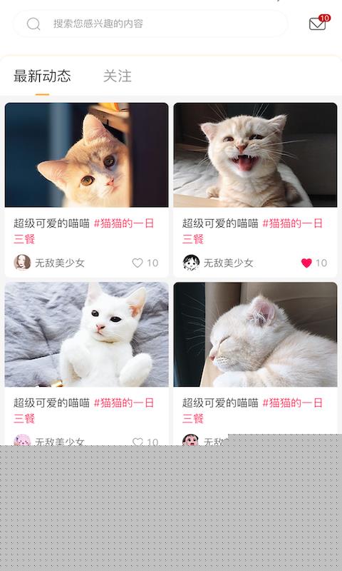 云养猫3