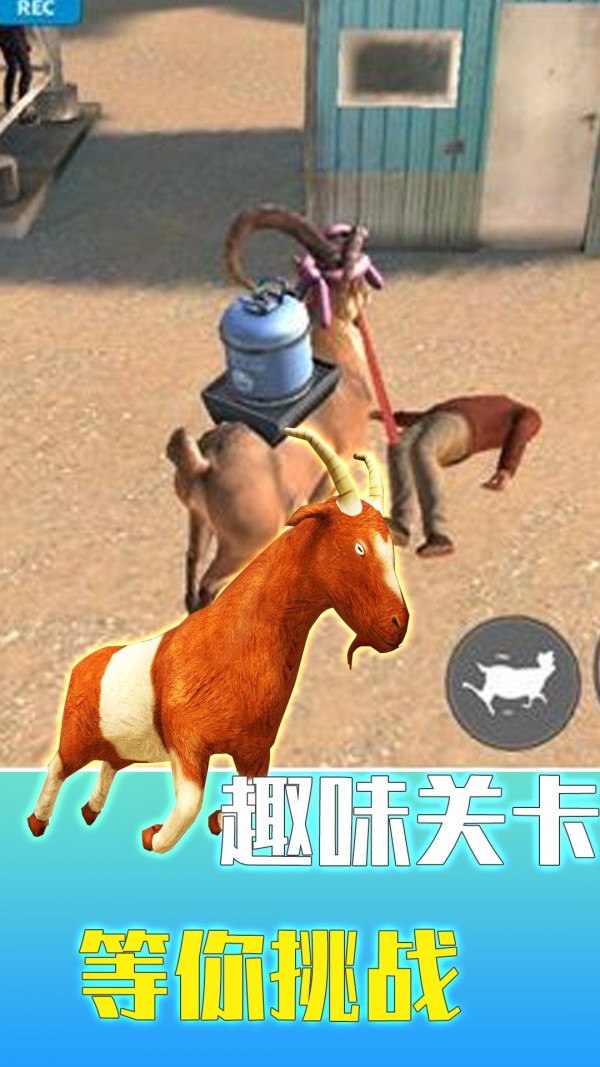 疯狂动物调查局3